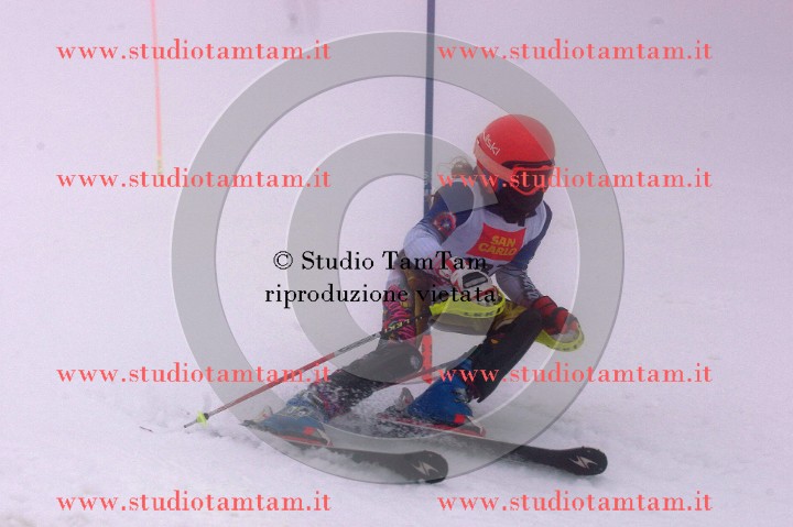 IMGB7840_exposure.JPG