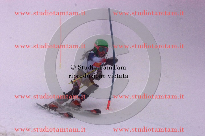 IMGB7894_exposure.JPG