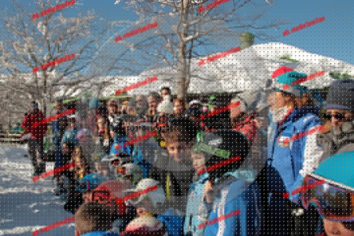 IMGB8473.JPG