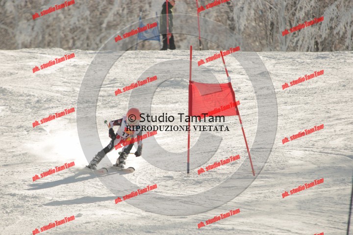 IMGB8459.JPG