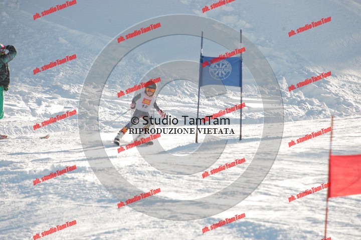 IMGB6767.JPG