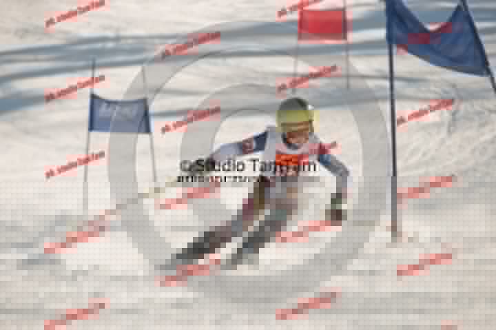 IMGB8323.JPG