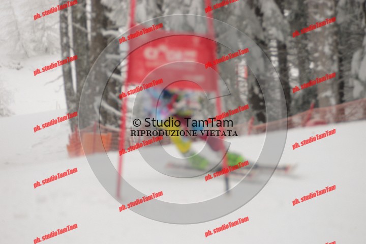IMGB0890.JPG