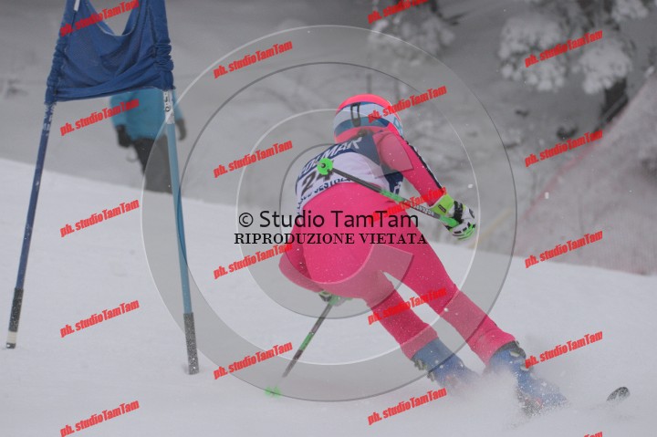 IMGB1215.JPG