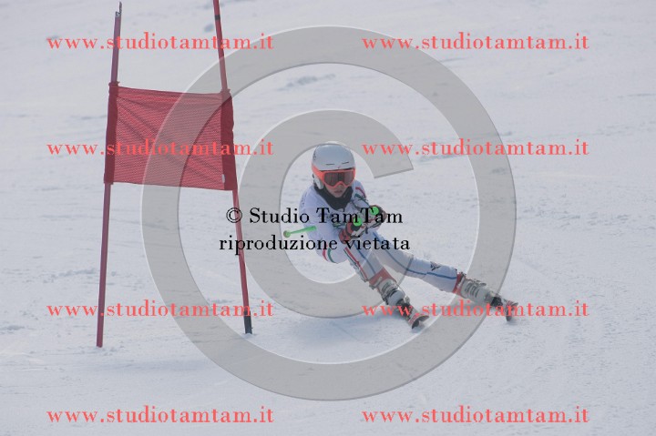 IMGB4292.JPG