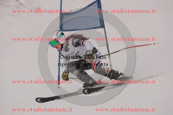 IMGB1168.JPG