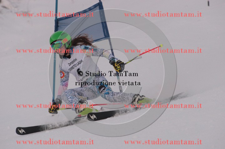 IMGB1223.JPG