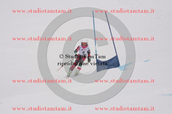 IMGB9412.JPG