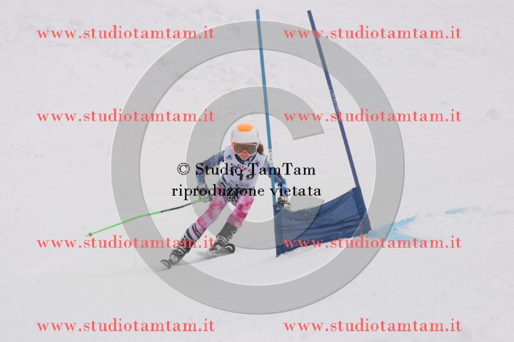 IMGB0583.JPG