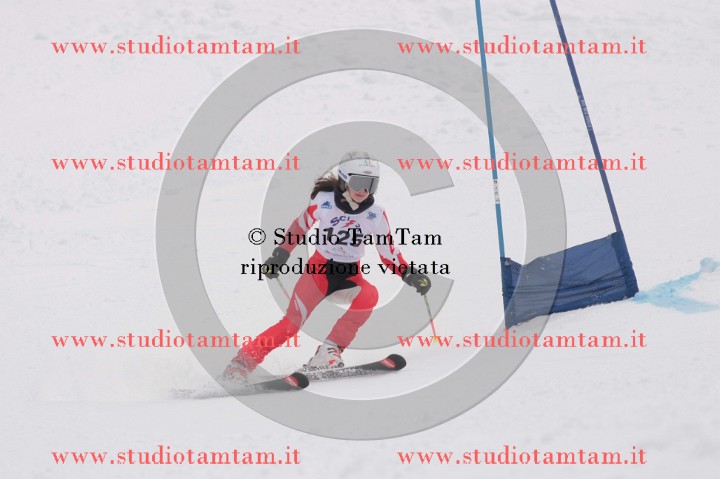 IMGB0646.JPG
