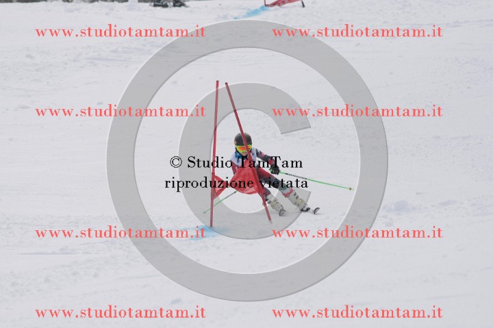 IMGB0737.JPG