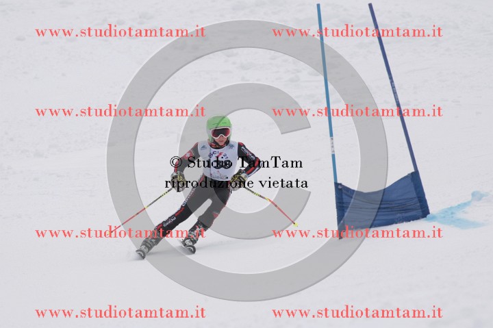 IMGB0809.JPG