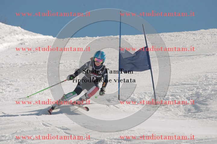 IMGB2589.JPG