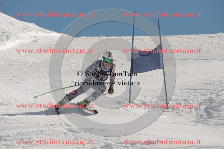 IMGB2599.JPG