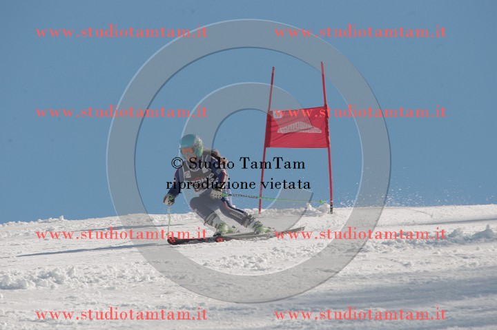 IMGB2639.JPG