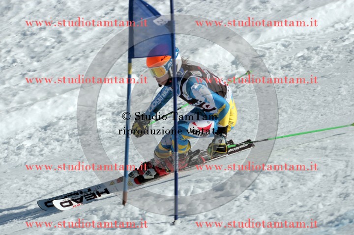 IMGB2696.jpg