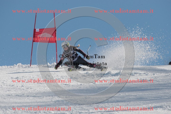 IMGB2746.JPG