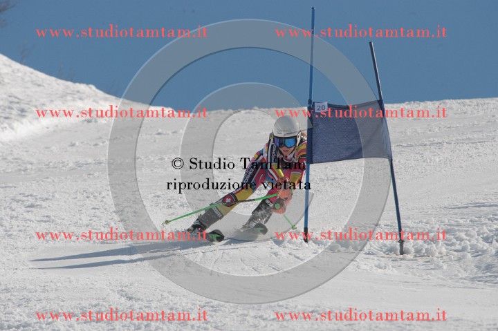 IMGB2790.JPG