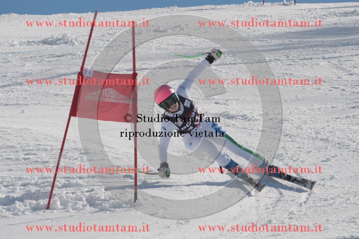 IMGB2819.JPG