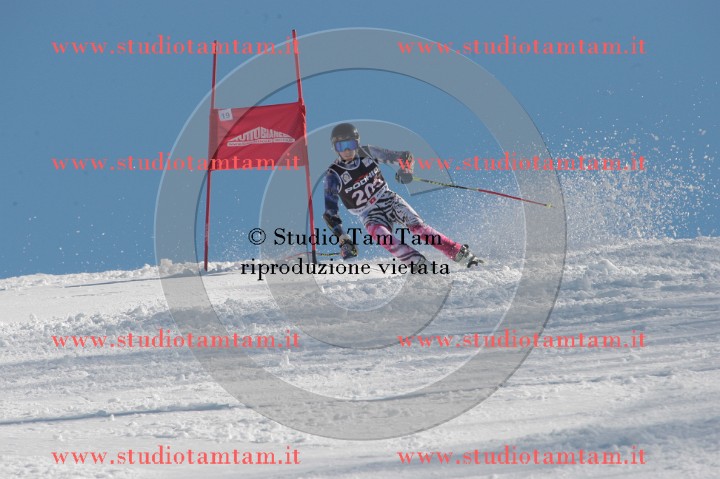 IMGB3369.JPG