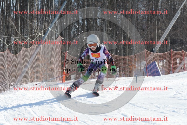 DSC_5846.JPG
