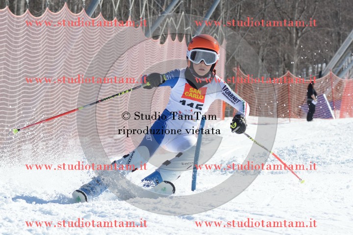 DSC_6589.jpg