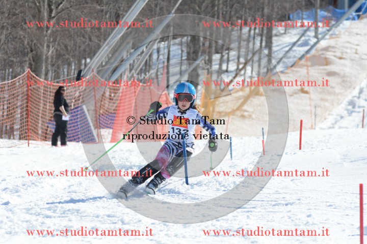 DSC_6685.JPG