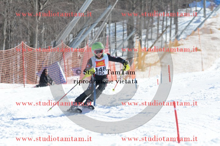 DSC_6773.JPG