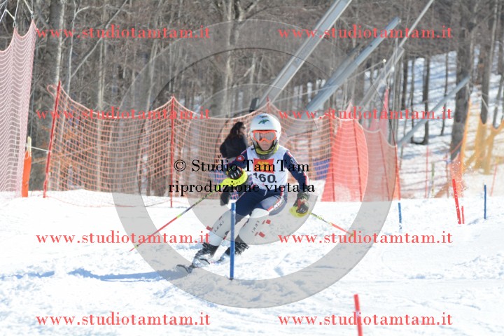 DSC_6848.JPG