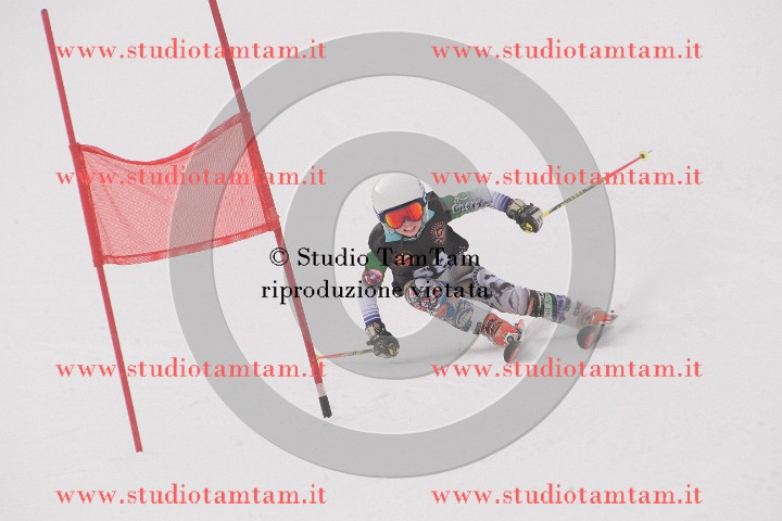 IMGB6808.JPG