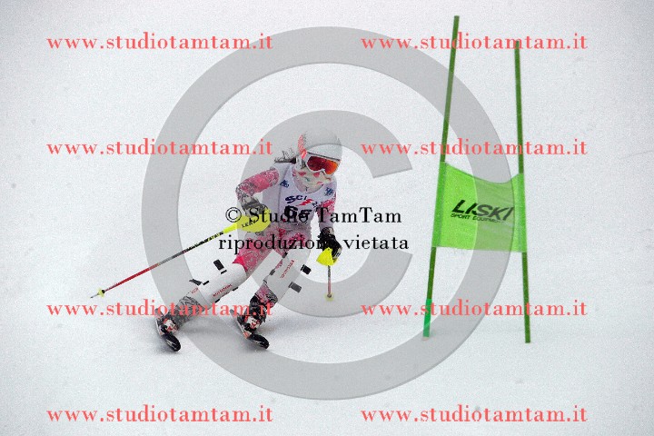 IMGB5848.JPG