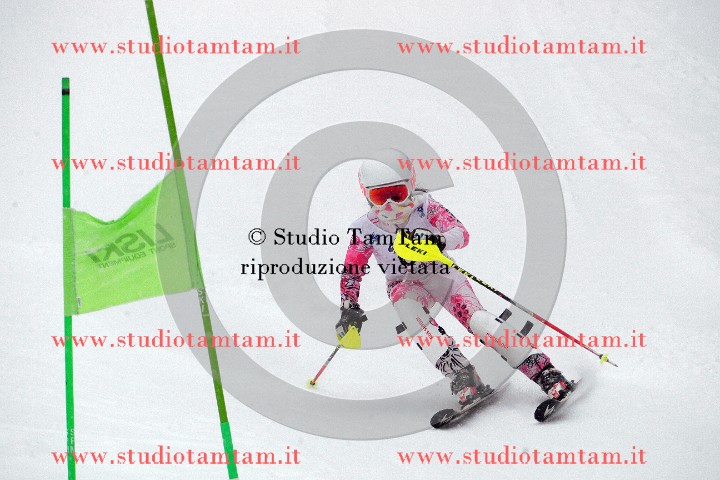 IMGB5853.JPG