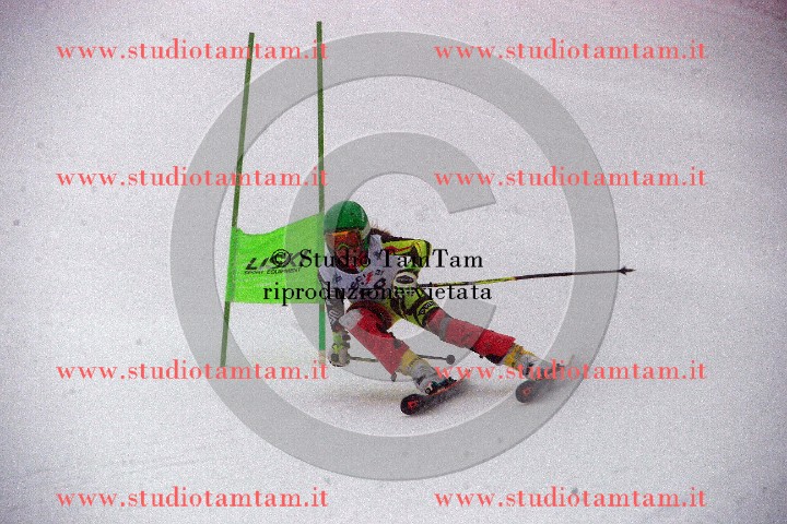 IMGB5861.JPG