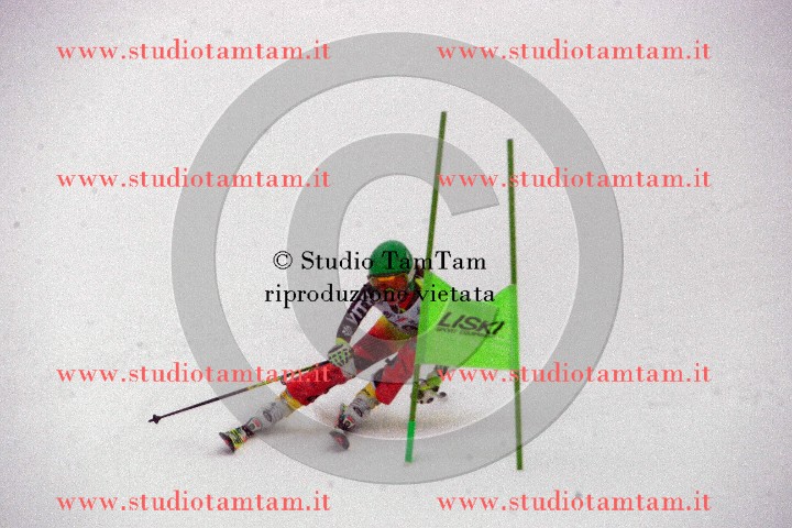 IMGB5862.JPG