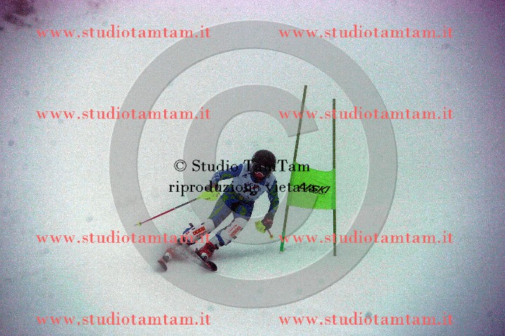 IMGB5941.JPG