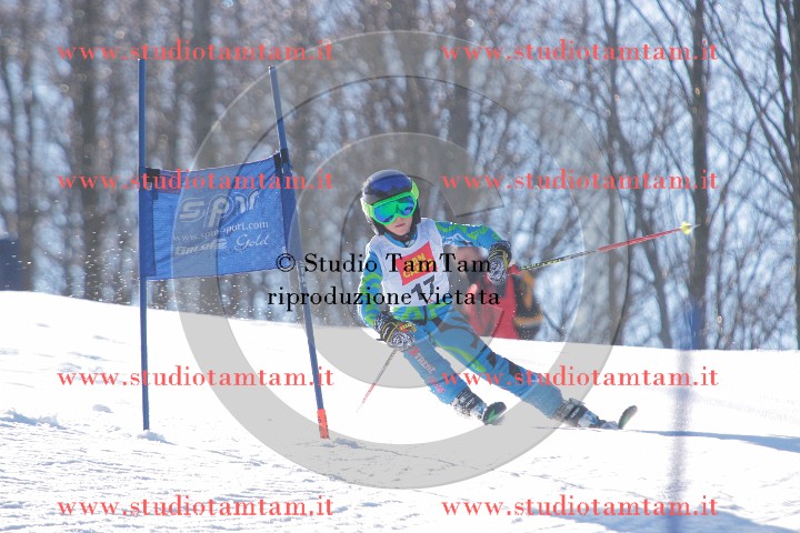 IMGB0212.JPG