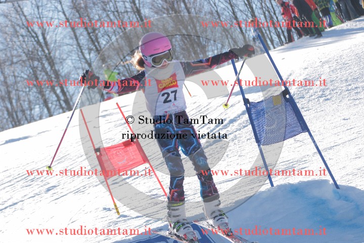 IMGB0313.JPG