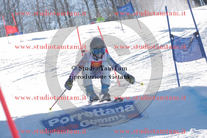 IMGB0319.JPG