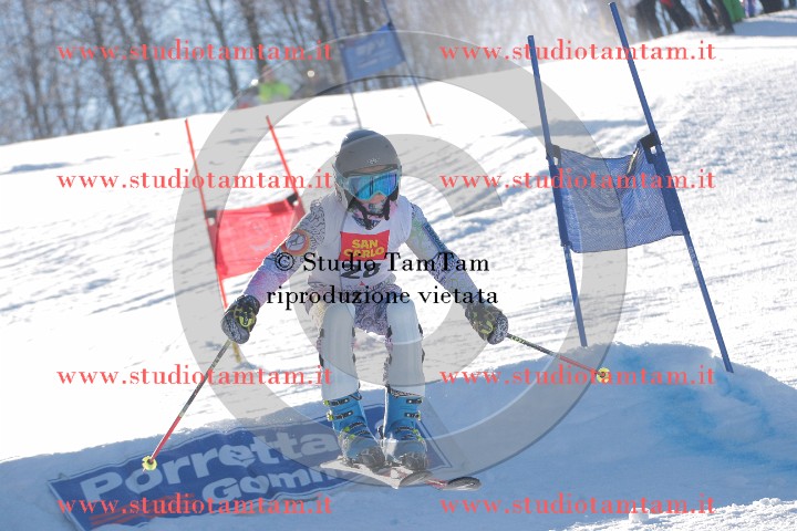 IMGB0320.JPG