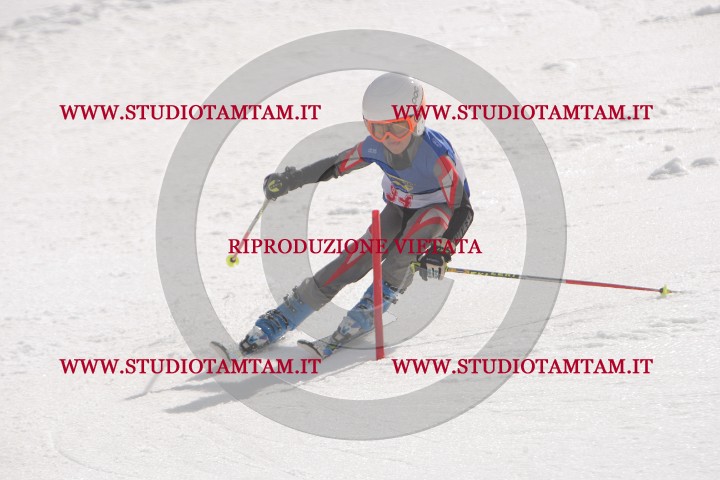IMGB7728.JPG