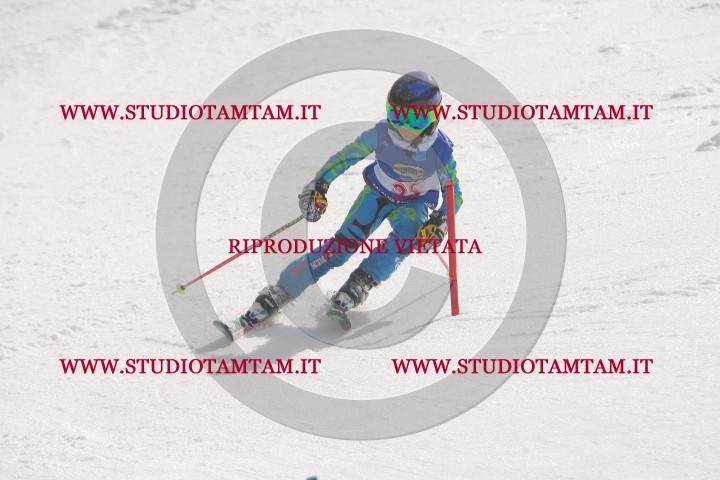 IMGB7739.JPG