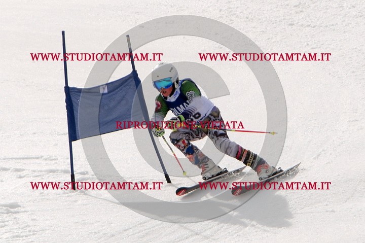 IMGB0033.jpg