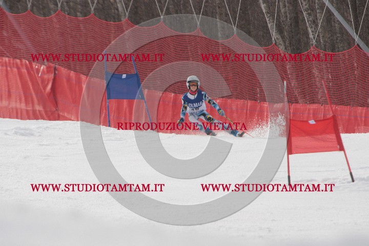 IMGB8833.JPG
