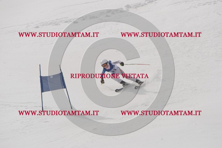 IMGB9274.JPG