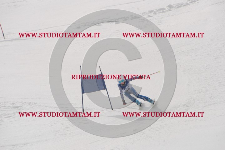 IMGB9289.JPG