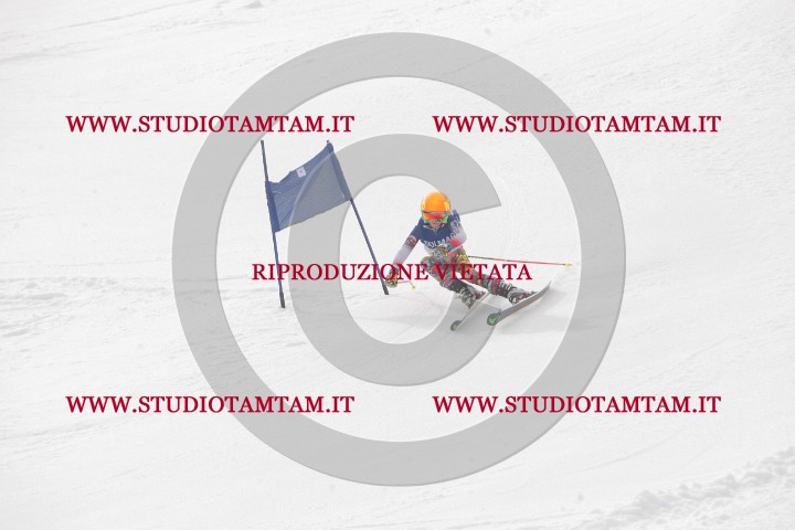 IMGB9334.JPG