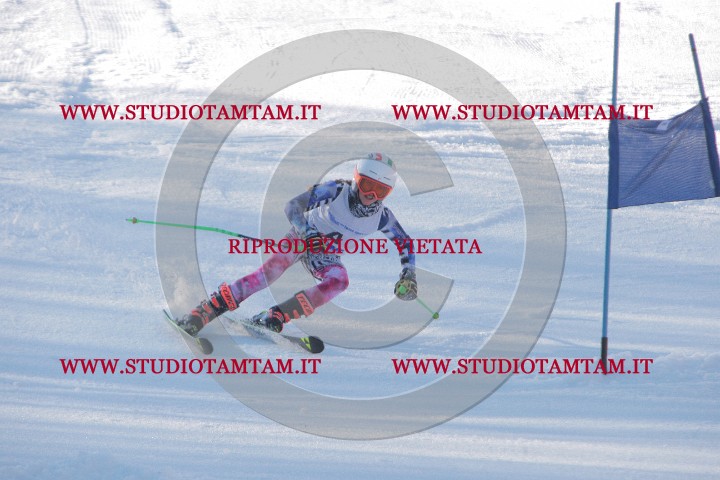 IMGB0163.JPG