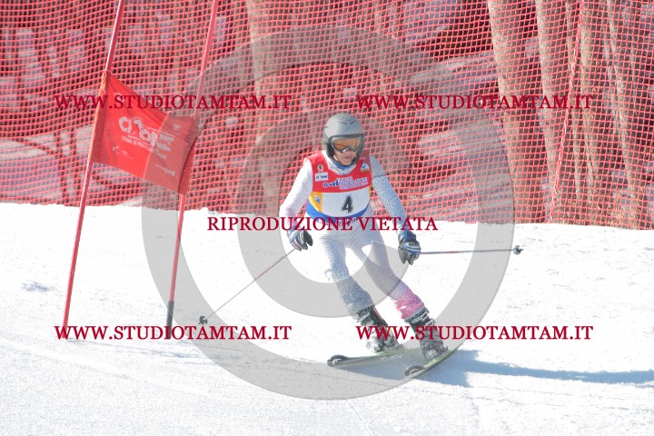 IMGB0201.JPG