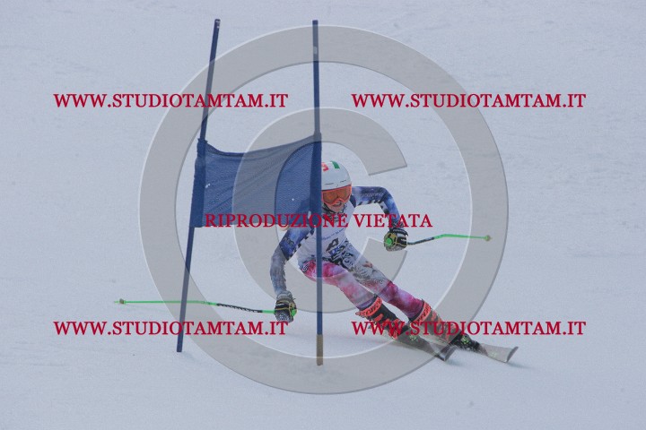 IMGB0052.JPG