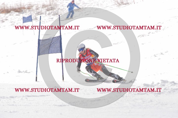 IMGB0130.JPG